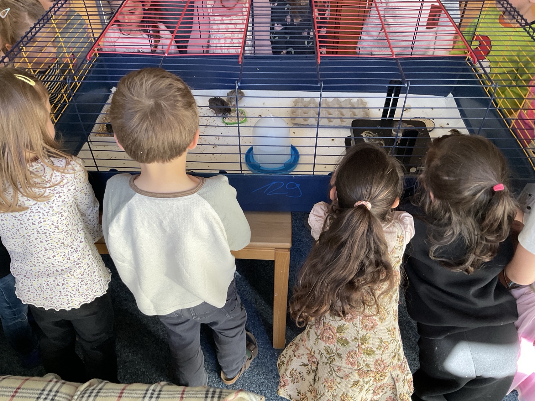 IMG 4182.JPG compressed